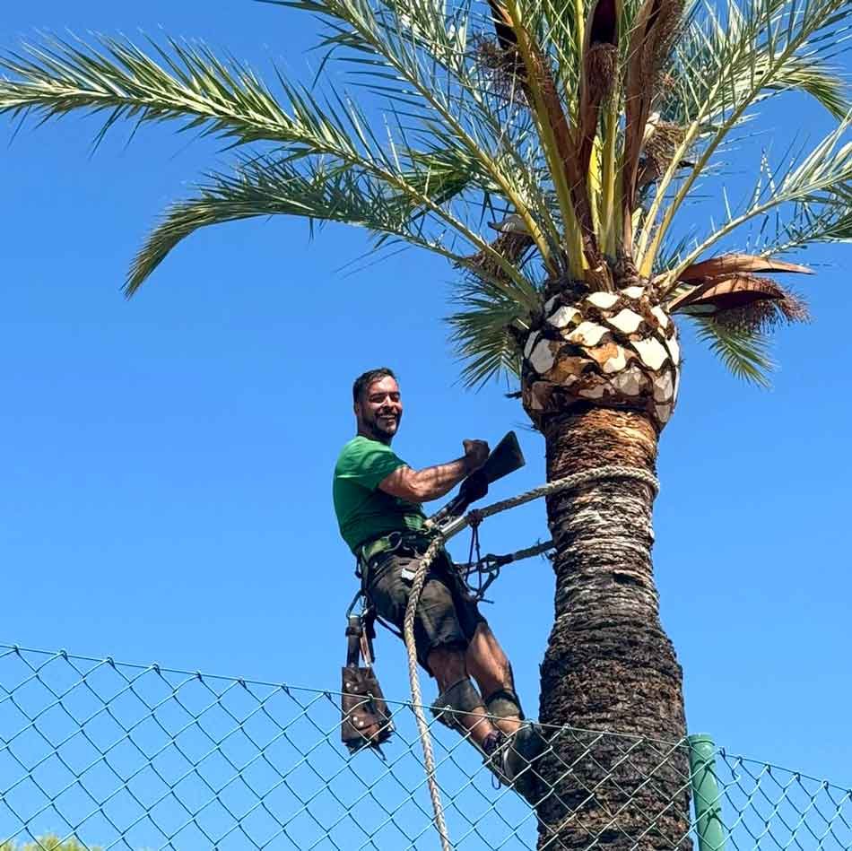Poda en altura, jardinería y mantenimiento de comunidades en Alfaz del Pi, Albir, Altea y Benidorm